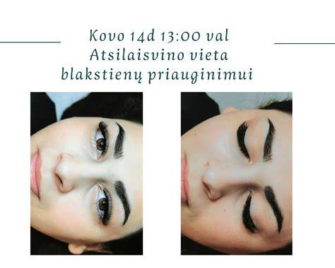 blakstienų priauginimo procedūros schema